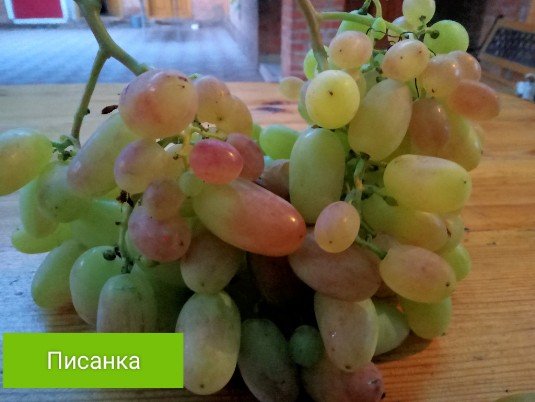 Писанка
